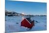 The blue light of dusk on the typical house of fishermen and frozen sea, Fjordbotn, Senja, Norway-Roberto Moiola-Mounted Photographic Print