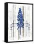 The Blue Moose - Lodge Pole Pine-LightBoxJournal-Framed Stretched Canvas