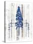 The Blue Moose - Lodge Pole Pine-LightBoxJournal-Stretched Canvas