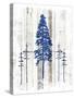 The Blue Moose - Lodge Pole Pine-LightBoxJournal-Stretched Canvas