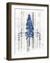 The Blue Moose - Lodge Pole Pine-LightBoxJournal-Framed Giclee Print