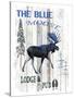 The Blue Moose-LightBoxJournal-Stretched Canvas