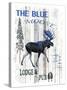 The Blue Moose-LightBoxJournal-Stretched Canvas