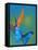 The Blue Morpho on Bird of Paradise-Darrell Gulin-Framed Stretched Canvas