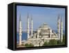 The Blue Mosque (Sultan Ahmet Camii), Sultanahmet, Central Istanbul, Turkey-Neale Clarke-Framed Stretched Canvas