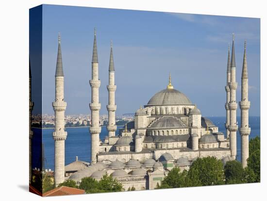 The Blue Mosque (Sultan Ahmet Camii), Sultanahmet, Central Istanbul, Turkey-Neale Clarke-Stretched Canvas