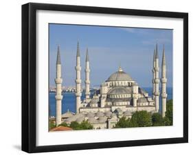 The Blue Mosque (Sultan Ahmet Camii), Sultanahmet, Central Istanbul, Turkey-Neale Clarke-Framed Photographic Print