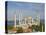 The Blue Mosque (Sultan Ahmet Camii), Sultanahmet, Central Istanbul, Turkey-Neale Clarke-Stretched Canvas
