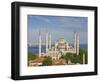 The Blue Mosque (Sultan Ahmet Camii), Sultanahmet, Central Istanbul, Turkey-Neale Clarke-Framed Photographic Print