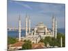 The Blue Mosque (Sultan Ahmet Camii), Sultanahmet, Central Istanbul, Turkey-Neale Clarke-Mounted Photographic Print