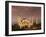 The Blue Mosque, Unesco World Heritage Site, Istanbul, Turkey-Simon Harris-Framed Photographic Print