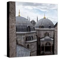 The Blue Mosque Viewed Over the Domes of the Hagia Sophia-Alex Saberi-Stretched Canvas