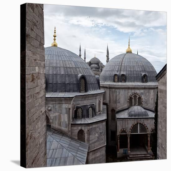 The Blue Mosque Viewed Over the Domes of the Hagia Sophia-Alex Saberi-Stretched Canvas