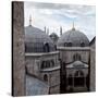 The Blue Mosque Viewed Over the Domes of the Hagia Sophia-Alex Saberi-Stretched Canvas