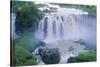The Blue Nile Falls, Near Lake Tana, Gondar Region, Ethiopia, Africa-Bruno Barbier-Stretched Canvas