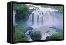 The Blue Nile Falls, Near Lake Tana, Gondar Region, Ethiopia, Africa-Bruno Barbier-Framed Stretched Canvas