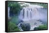 The Blue Nile Falls, Near Lake Tana, Gondar Region, Ethiopia, Africa-Bruno Barbier-Framed Stretched Canvas