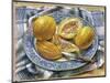 The Blue Platter, 1979-Sandra Lawrence-Mounted Giclee Print