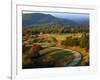 The Blue Ridge Parkway, Patrick County, Virginia, USA-Charles Gurche-Framed Photographic Print