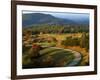 The Blue Ridge Parkway, Patrick County, Virginia, USA-Charles Gurche-Framed Photographic Print