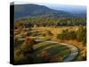 The Blue Ridge Parkway, Patrick County, Virginia, USA-Charles Gurche-Stretched Canvas