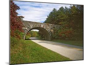 The Blue Ridge Parkway, Virginia, USA-Charles Gurche-Mounted Premium Photographic Print
