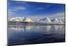 The blue sky and snow capped mountains are reflected in the frozen water  Breivikeidet Lyngen Alps -ClickAlps-Mounted Photographic Print
