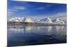 The blue sky and snow capped mountains are reflected in the frozen water  Breivikeidet Lyngen Alps -ClickAlps-Mounted Photographic Print