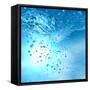The Blue Underwater with Bubbles-Sergiy Serdyuk-Framed Stretched Canvas