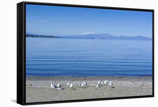 The Blue Waters of Lake Taupo with the Tongariro National Park in the Background-Michael Runkel-Framed Stretched Canvas