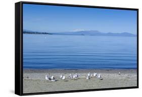 The Blue Waters of Lake Taupo with the Tongariro National Park in the Background-Michael Runkel-Framed Stretched Canvas