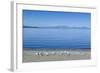 The Blue Waters of Lake Taupo with the Tongariro National Park in the Background-Michael Runkel-Framed Photographic Print