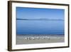 The Blue Waters of Lake Taupo with the Tongariro National Park in the Background-Michael Runkel-Framed Photographic Print