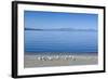 The Blue Waters of Lake Taupo with the Tongariro National Park in the Background-Michael Runkel-Framed Photographic Print