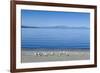 The Blue Waters of Lake Taupo with the Tongariro National Park in the Background-Michael Runkel-Framed Photographic Print