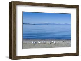 The Blue Waters of Lake Taupo with the Tongariro National Park in the Background-Michael Runkel-Framed Photographic Print