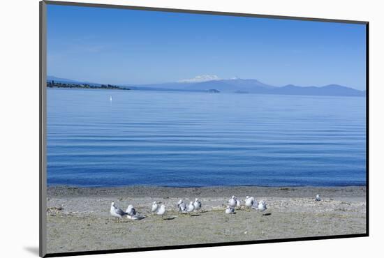 The Blue Waters of Lake Taupo with the Tongariro National Park in the Background-Michael Runkel-Mounted Photographic Print