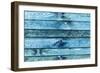 The Blue Wood Texture with Natural Patterns-Madredus-Framed Photographic Print