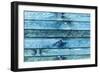 The Blue Wood Texture with Natural Patterns-Madredus-Framed Photographic Print