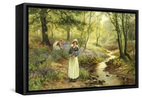 The Bluebell Glade-Ernest Walbourn-Framed Stretched Canvas