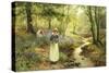 The Bluebell Glade-Ernest Walbourn-Stretched Canvas