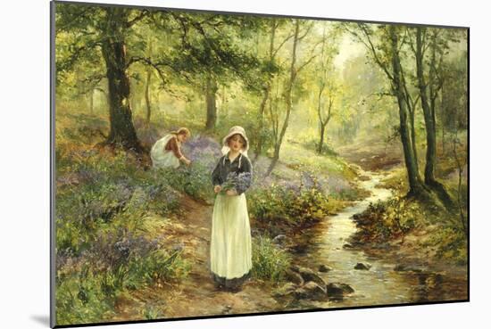 The Bluebell Glade-Ernest Walbourn-Mounted Giclee Print