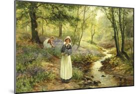 The Bluebell Glade-Ernest Walbourn-Mounted Giclee Print
