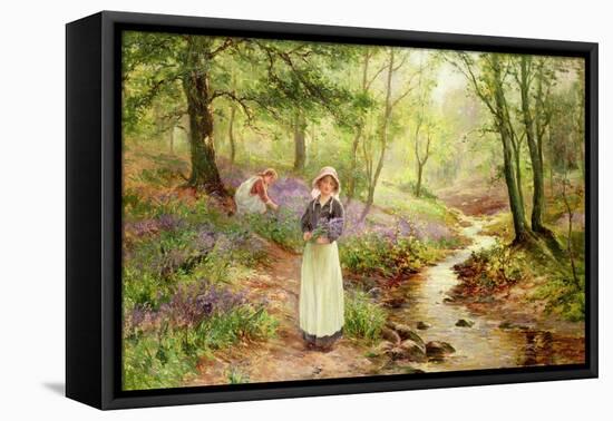 The Bluebell Glade-Ernest Walbourn-Framed Stretched Canvas