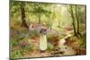 The Bluebell Glade-Ernest Walbourn-Mounted Giclee Print