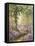 The Bluebell Wood-Alfred Fontville de Breanski-Framed Stretched Canvas