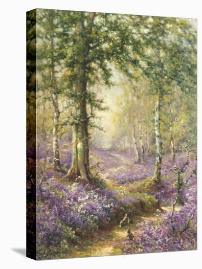 The Bluebell Wood-Alfred Fontville de Breanski-Stretched Canvas