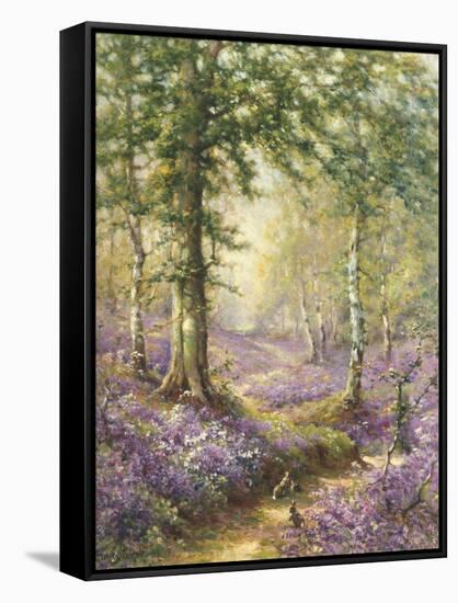 The Bluebell Wood-Alfred Fontville de Breanski-Framed Stretched Canvas