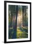 The Bluebells of Micheldever Woods Hampshire at Sunrise-Louis Neville-Framed Premium Photographic Print