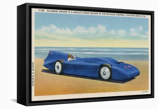 The Bluebird 5-R.H. Le Sesne-Framed Stretched Canvas